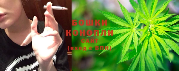ПСИЛОЦИБИНОВЫЕ ГРИБЫ Михайловка