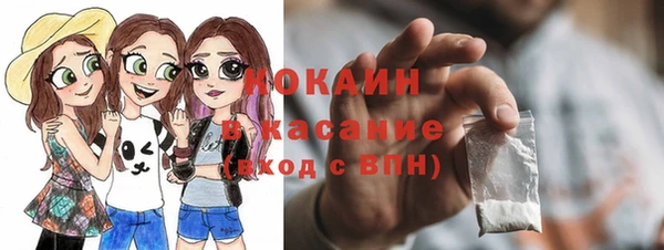 соль ск Михайлов