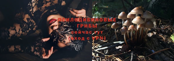 прущая мука Надым
