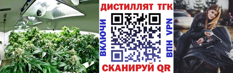 ТГК THC oil  гидра вход  Новотроицк  darknet официальный сайт  купить  сайты 